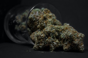 most popular strains of weed coming out of jar