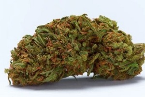 durban poision cannabis strains for energy
