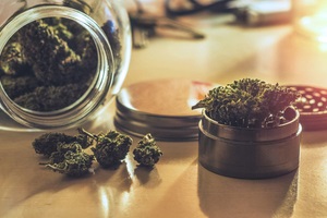 cannabis flower buds in glass jar and grinder on table