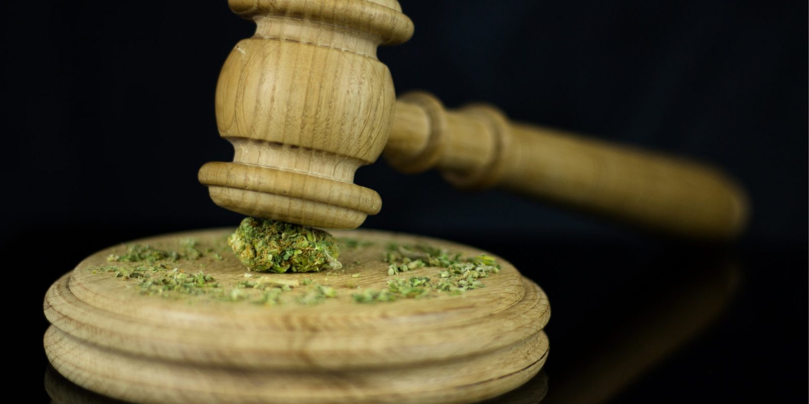 How To Grind Weed Without A Grinder Pure Oasis